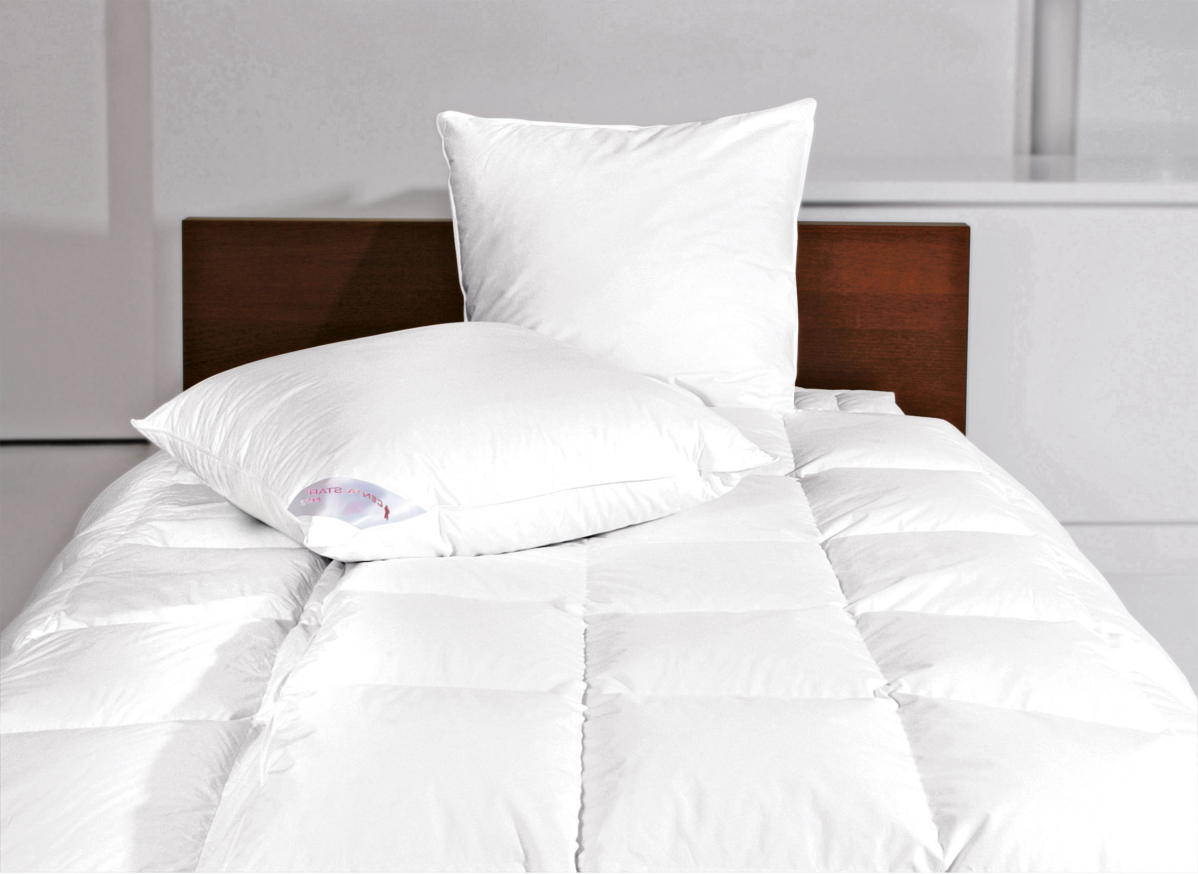 CENTA-STAR Kissen Medium 950g image number 4