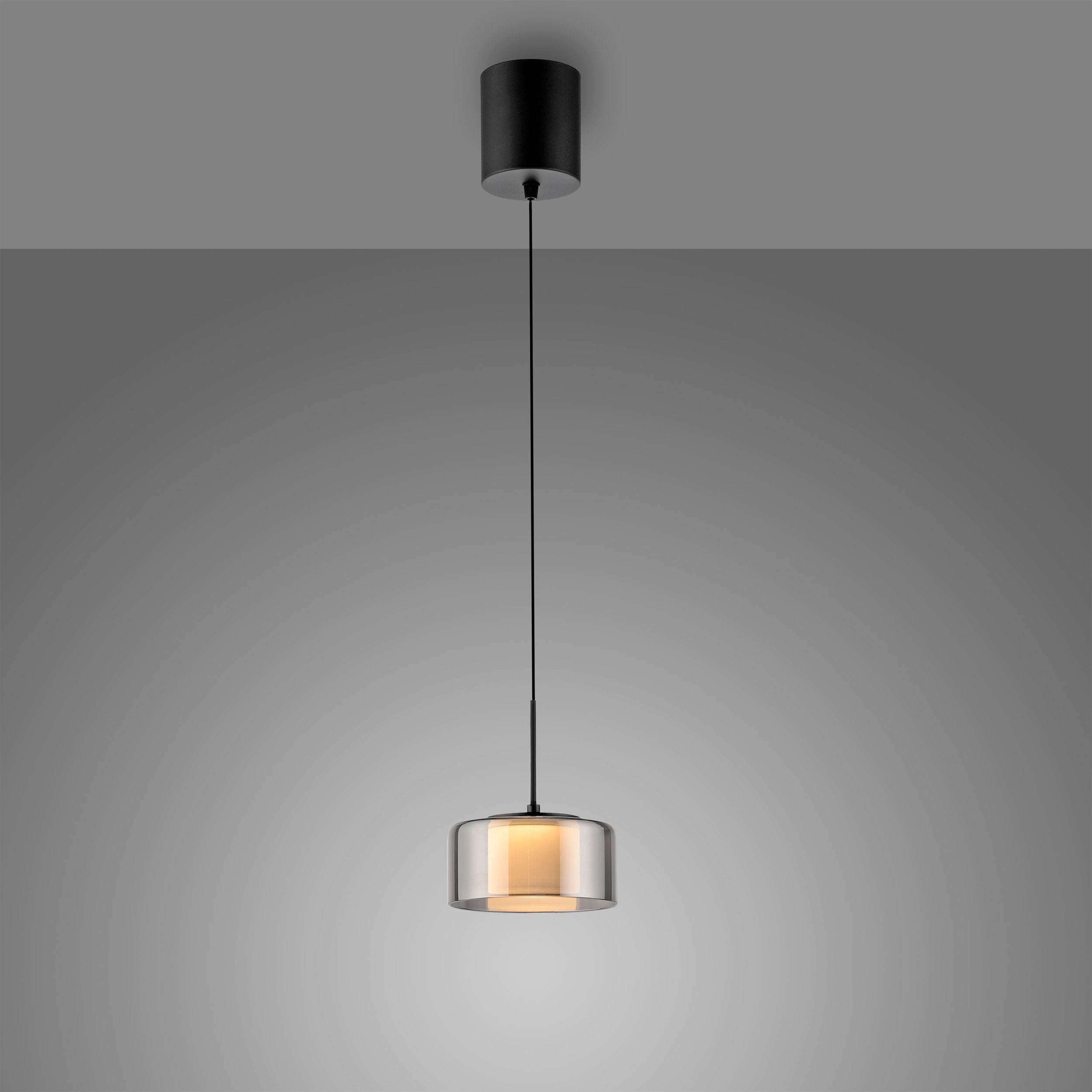 Paul Neuhaus LED-Pendelleuchte 1flg image number 2