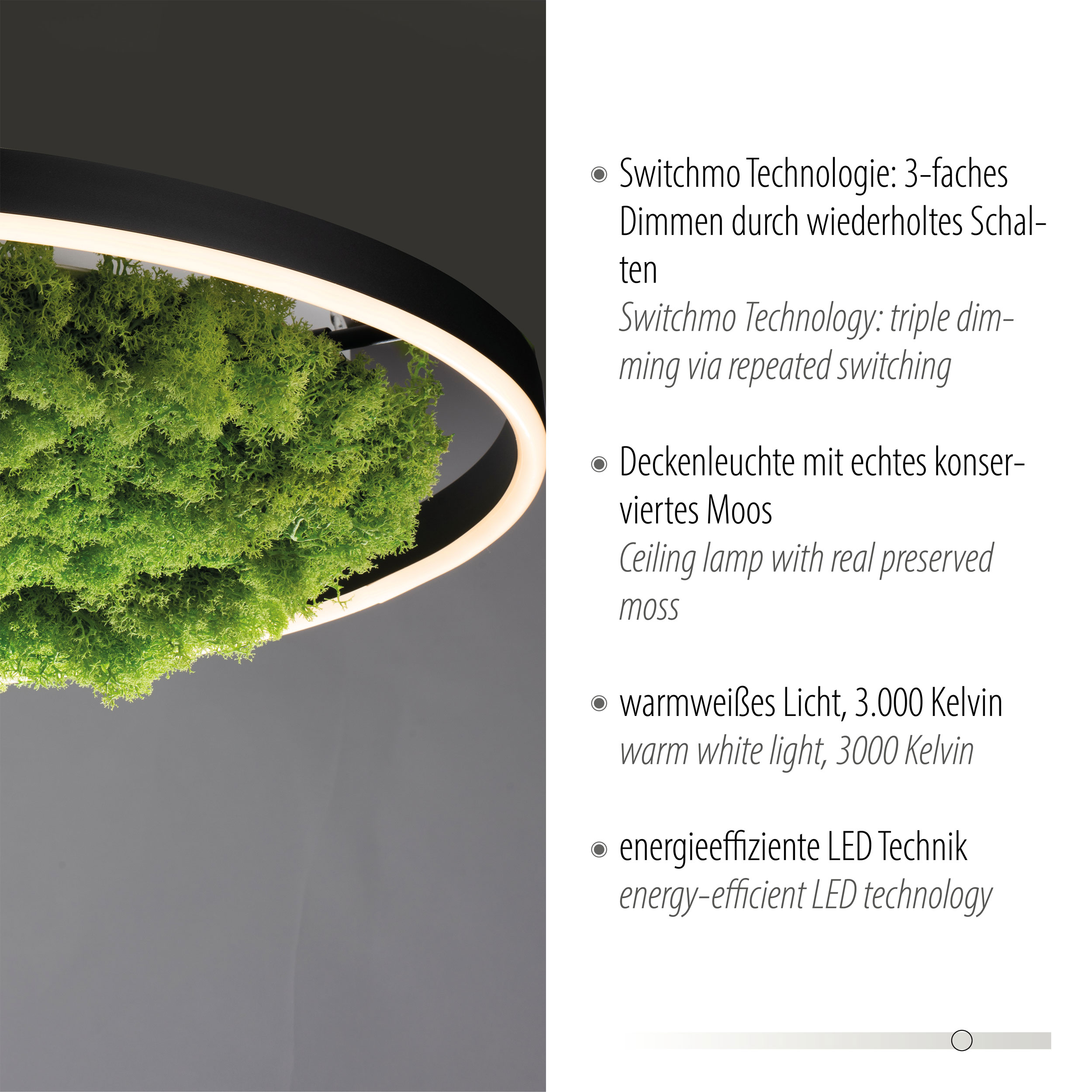 JUST LIGHT LED-Deckenleuchte 1flg image number 7