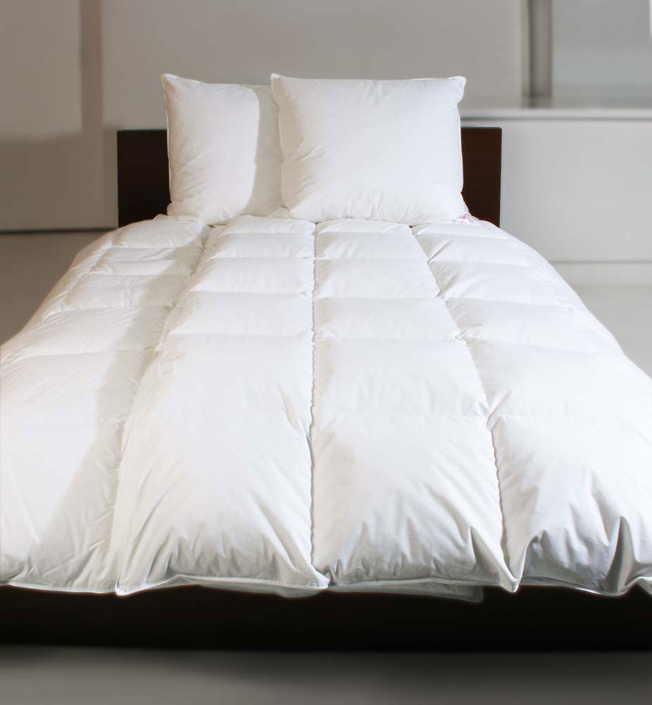 CENTA-STAR Kissen Fest 100g image number 6