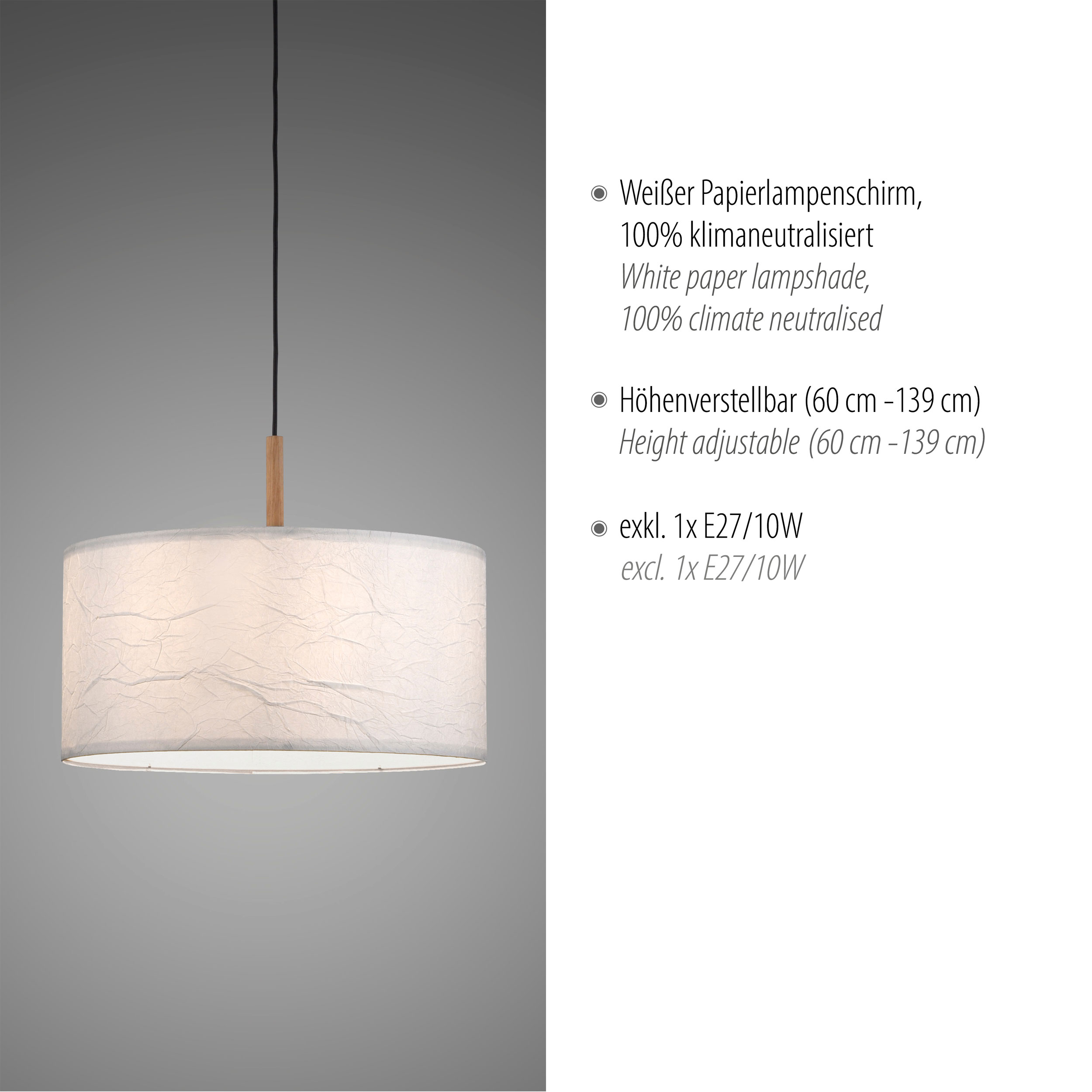 JUST LIGHT Pendelleuchte 1flg image number 4