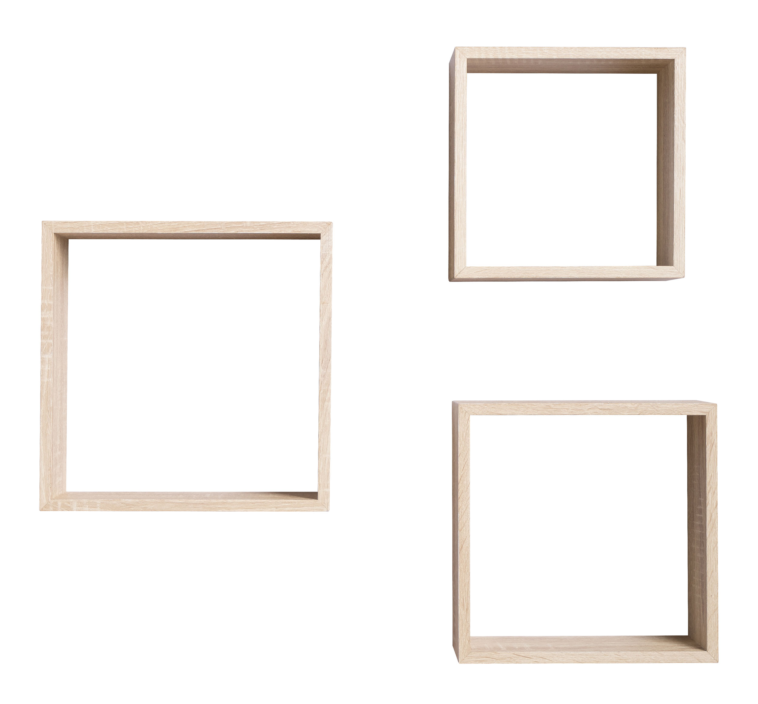 Regal image number 1