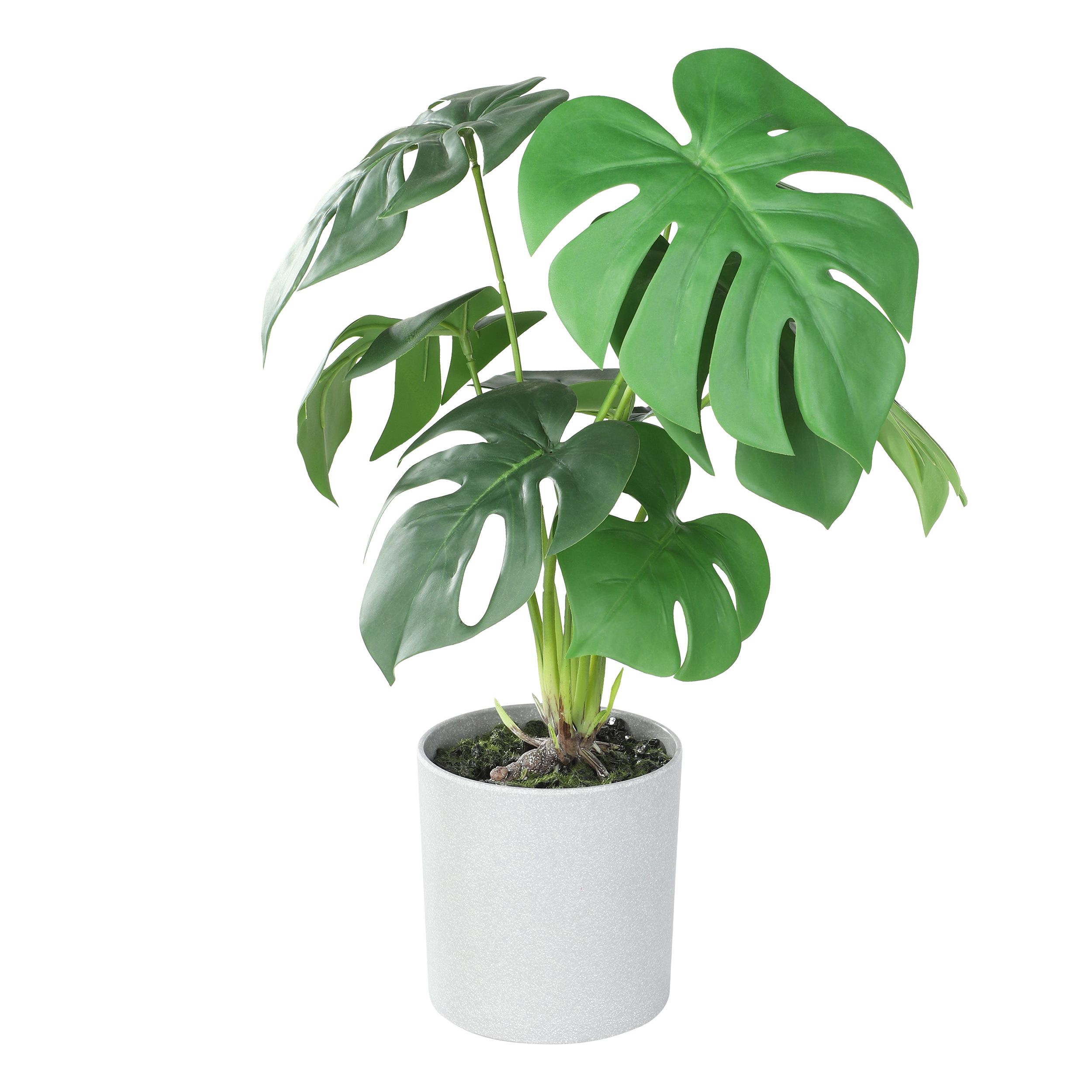 EGLO Living Kunstpflanze 42cm image number 1