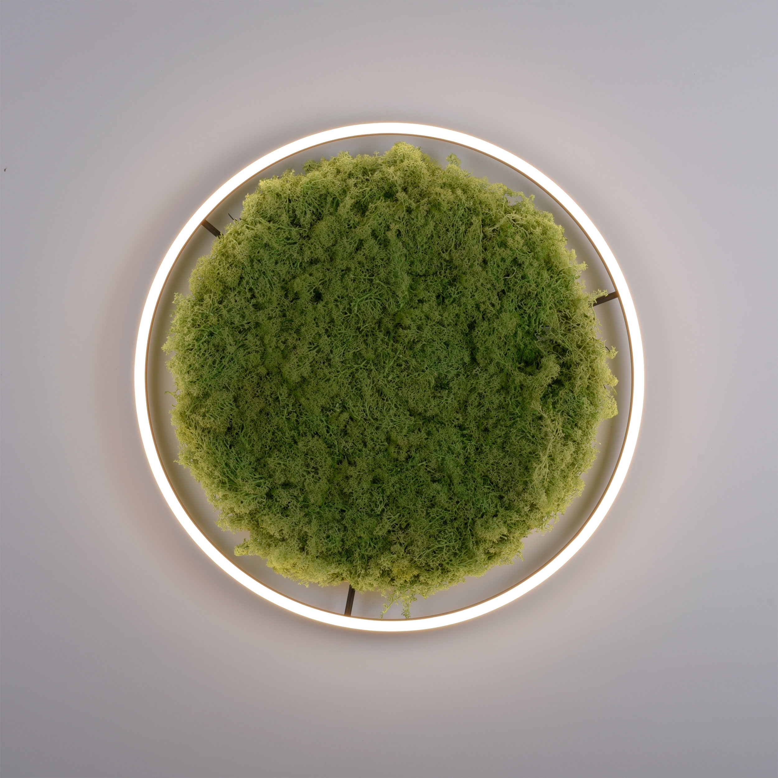 JUST LIGHT LED-Deckenleuchte 1flg image number 5