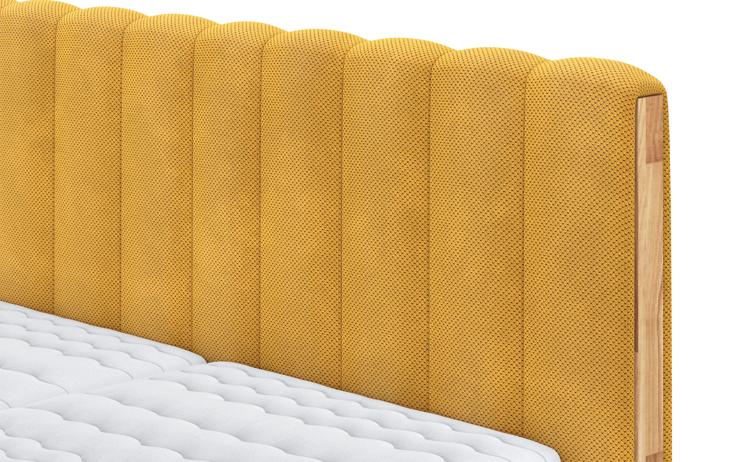 MONDO Polsterbett image number 3