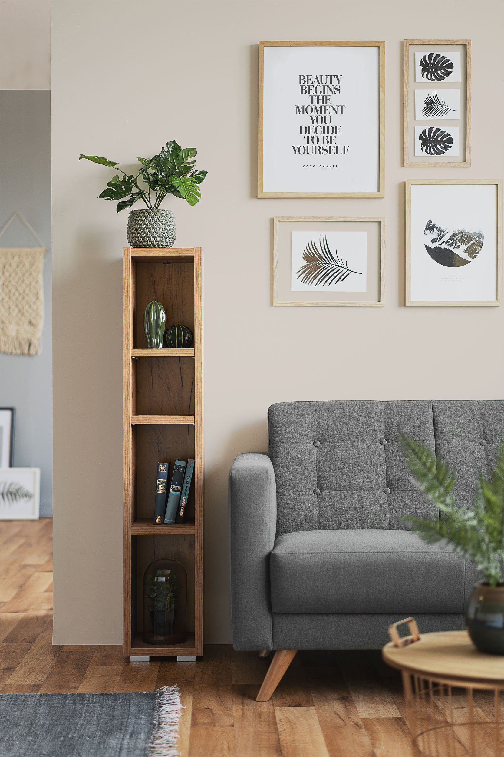 Regal image number 5