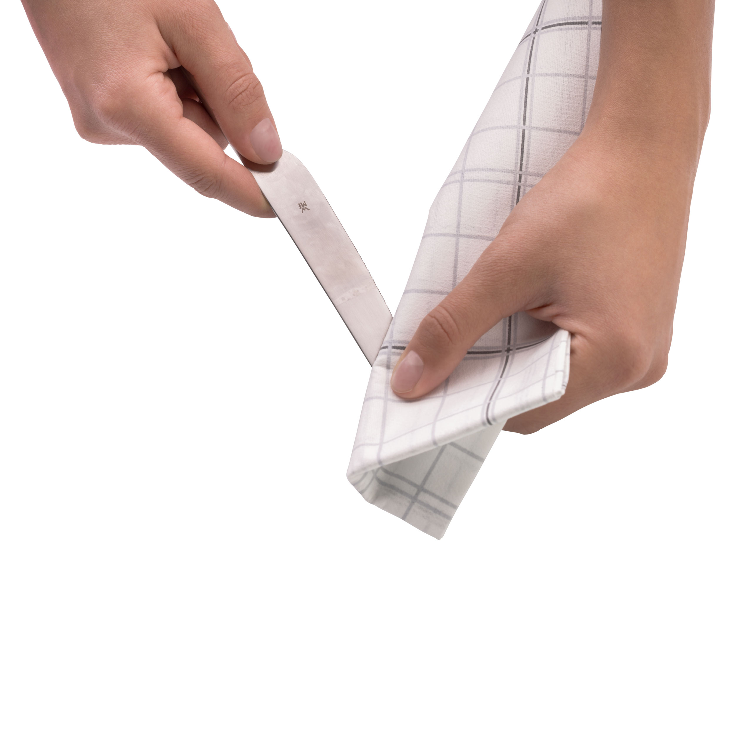 WMF Pflegemittel image number 4