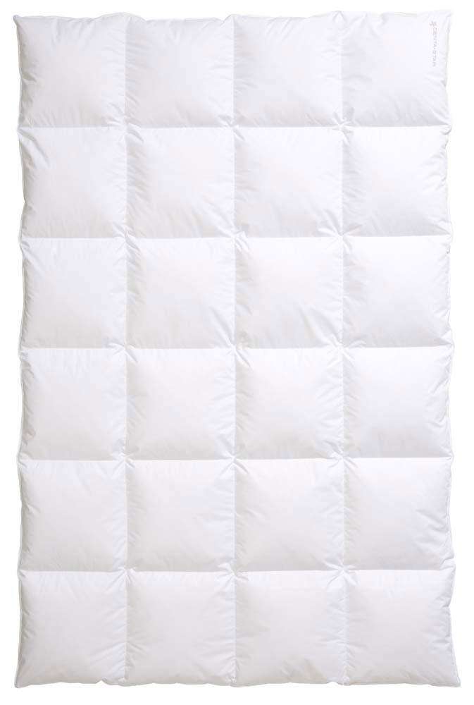 CENTA-STAR Kassettenbett 840g image number 1