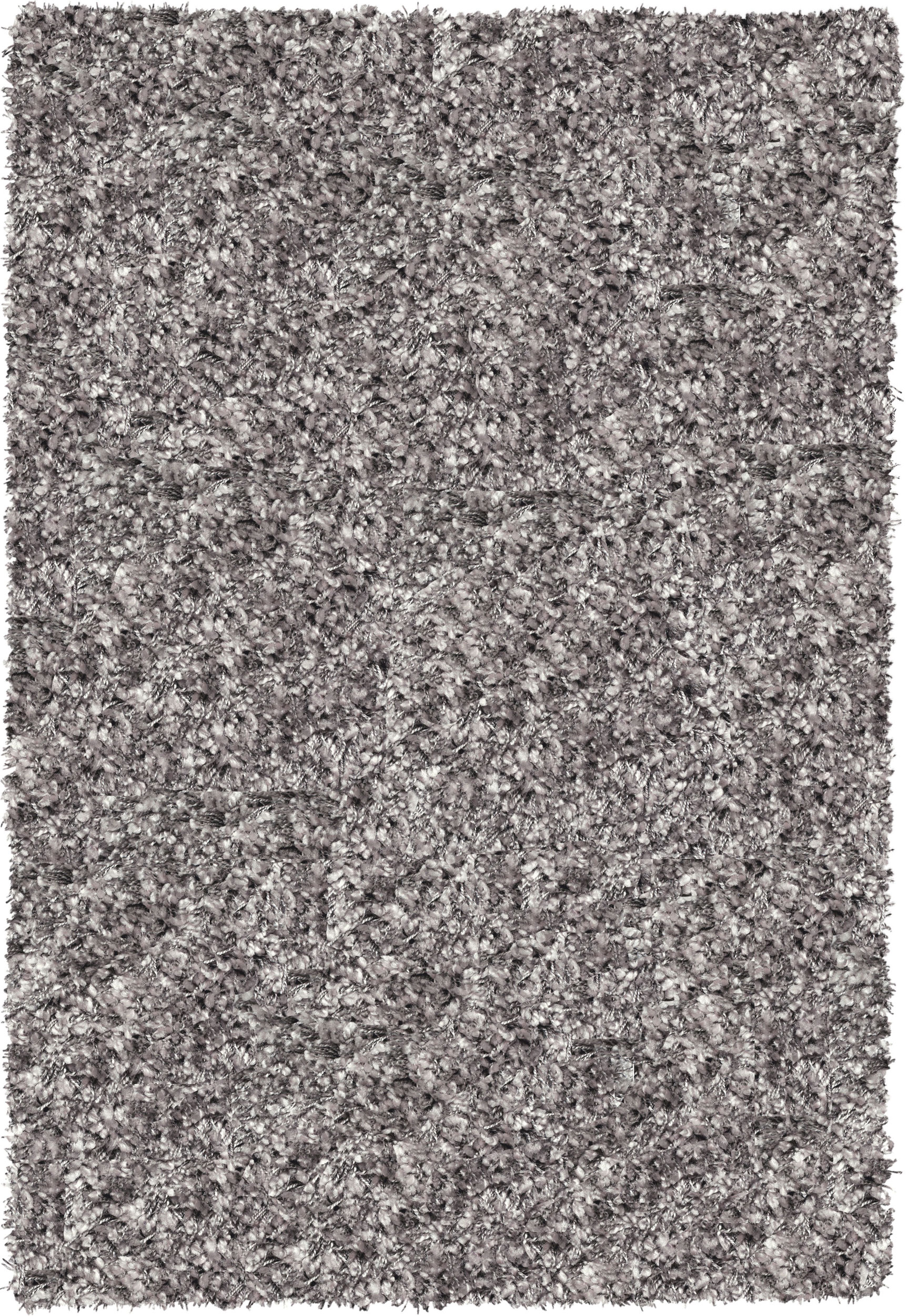 Ragolle Langflorteppich modern image number 1