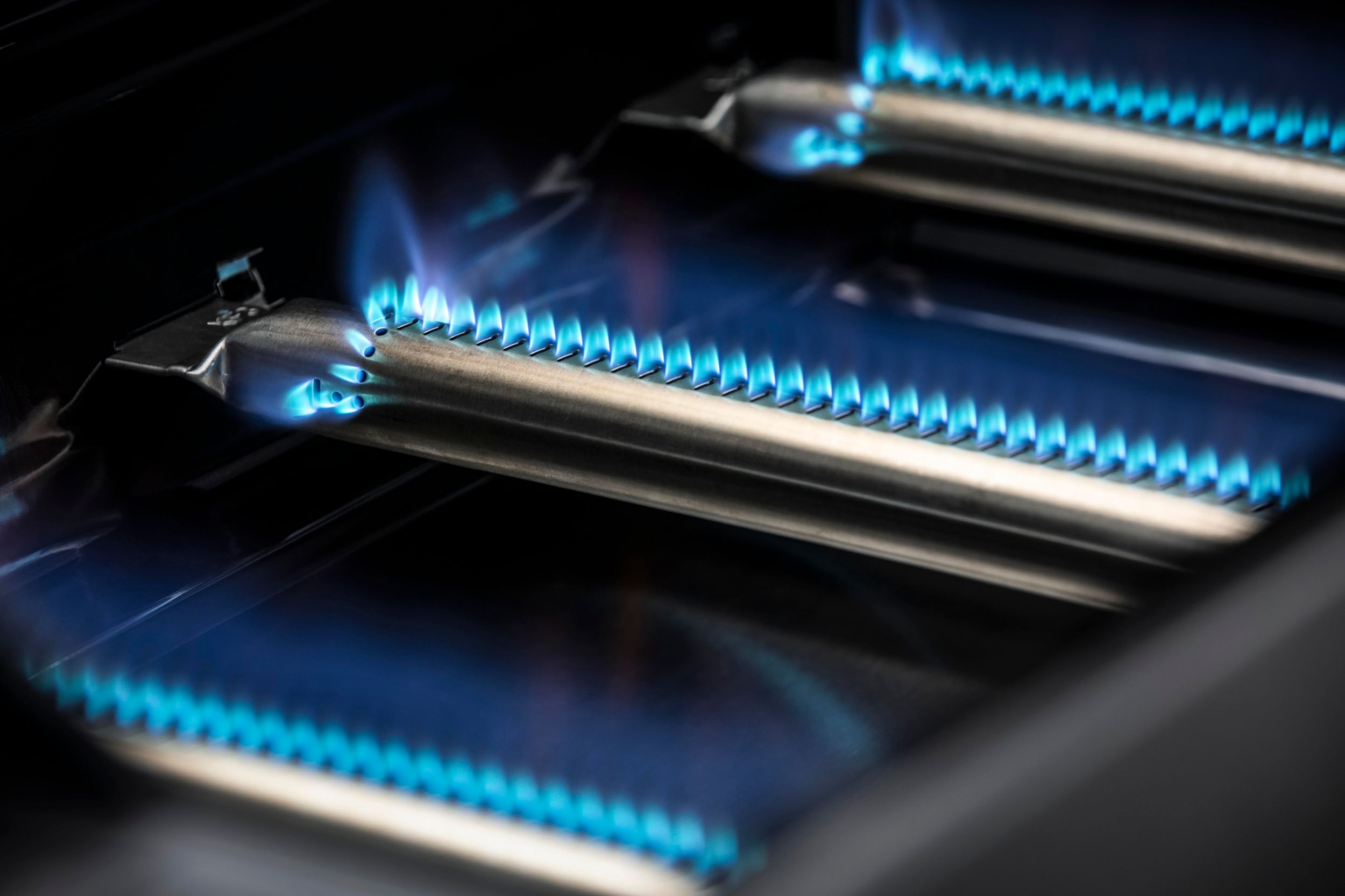 R&ouml;sle Gasgrill image number 2