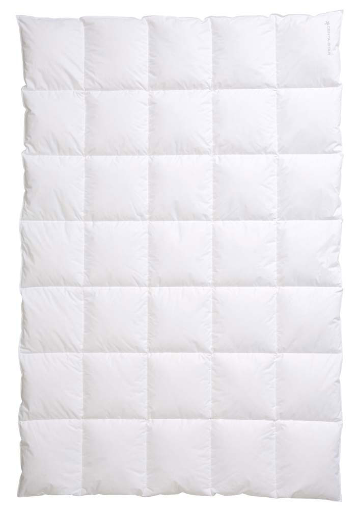 CENTA-STAR Dauneneinziehdecke 780g image number 1