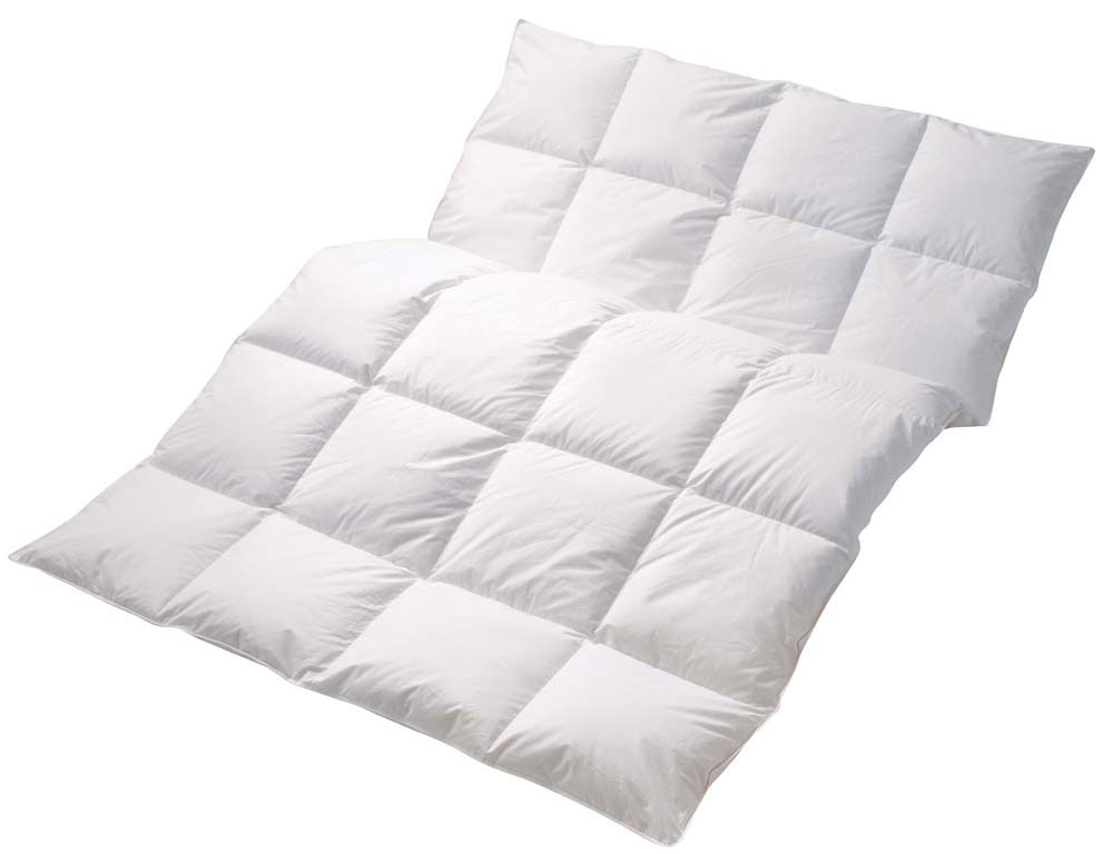 CENTA-STAR Dauneneinziehdecke 420g image number 2