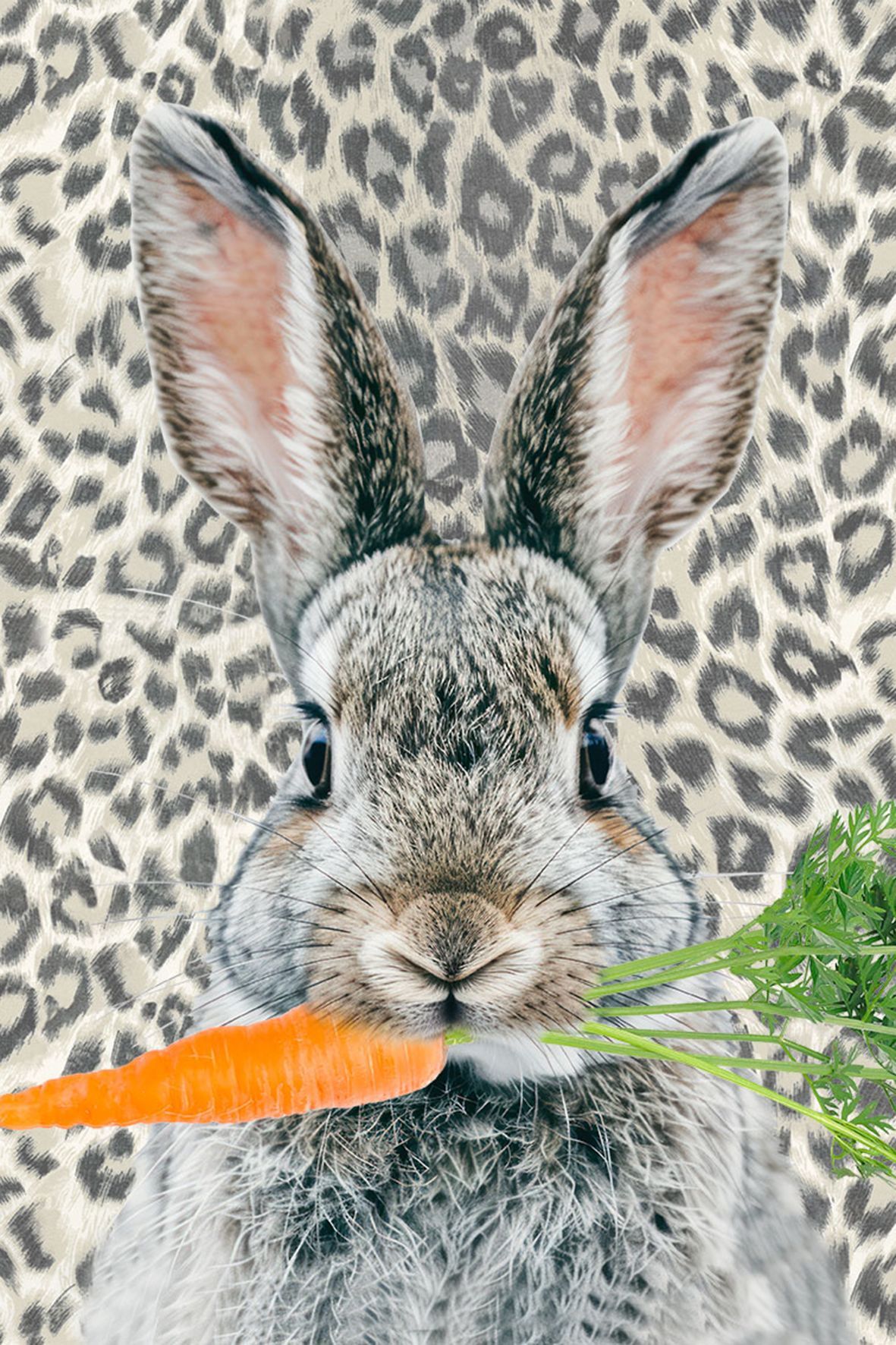 Apelt Kissenh&uuml;lle image number 2