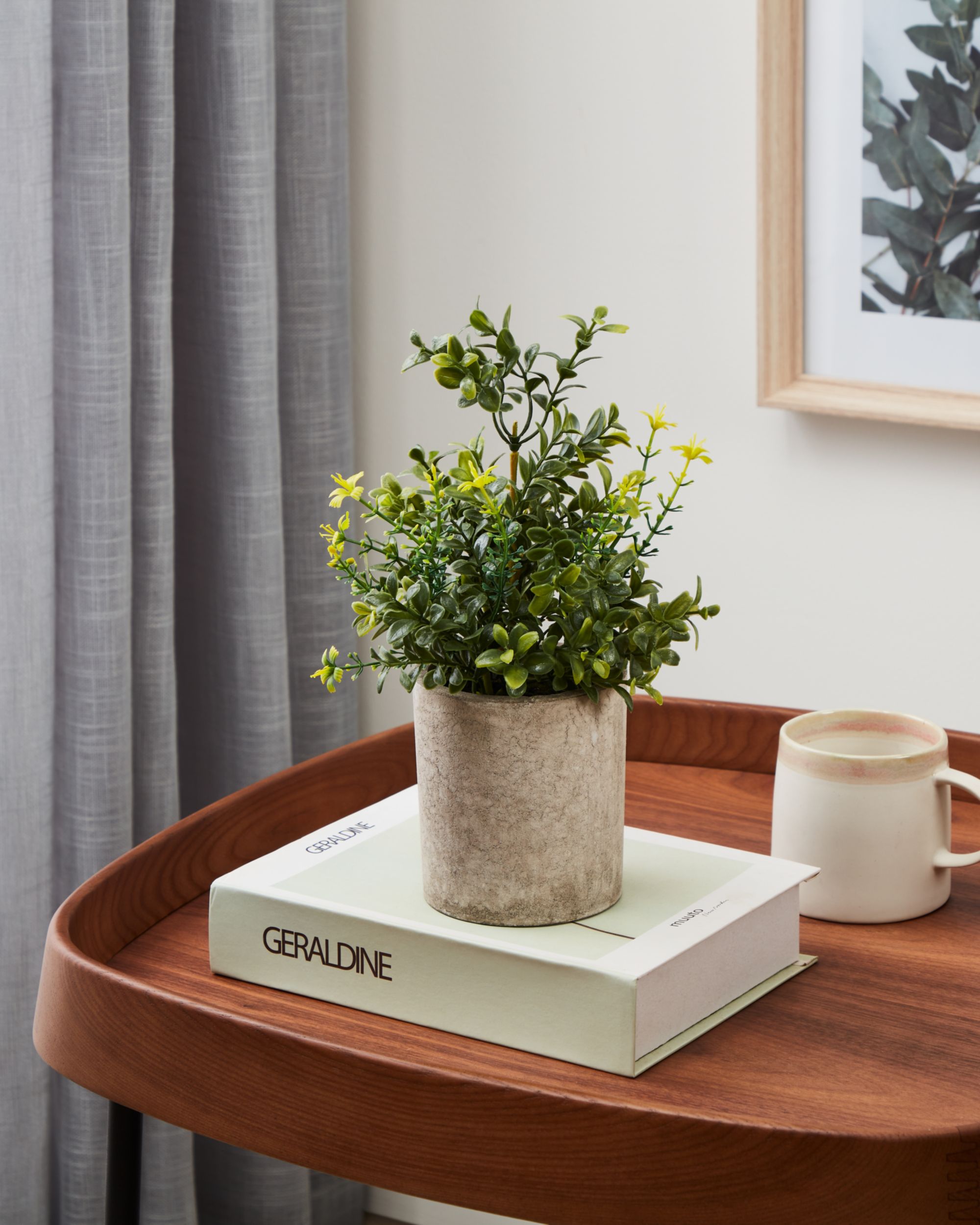 EGLO Living Kunstpflanze 25cm image number 2