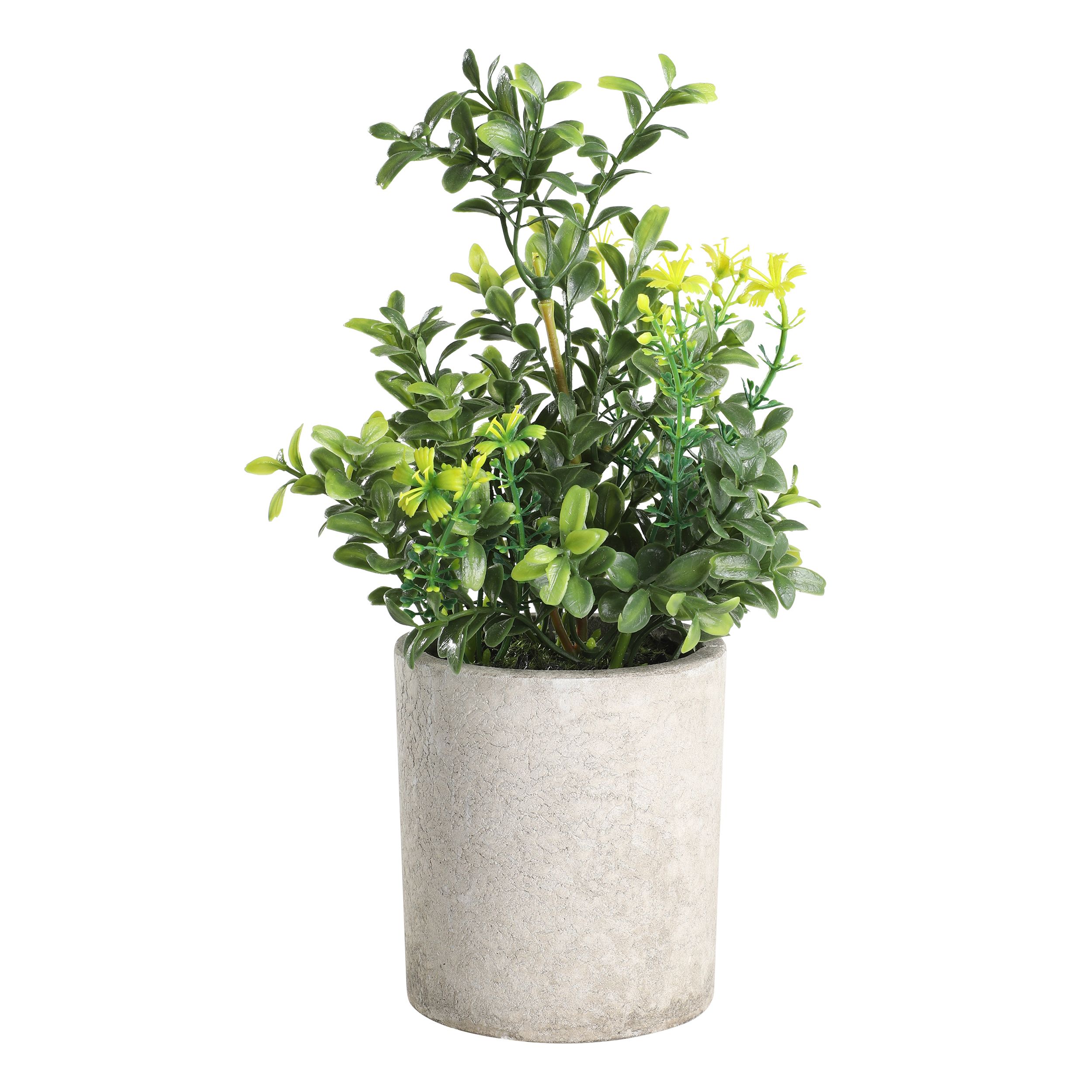 EGLO Living Kunstpflanze 25cm image number 1