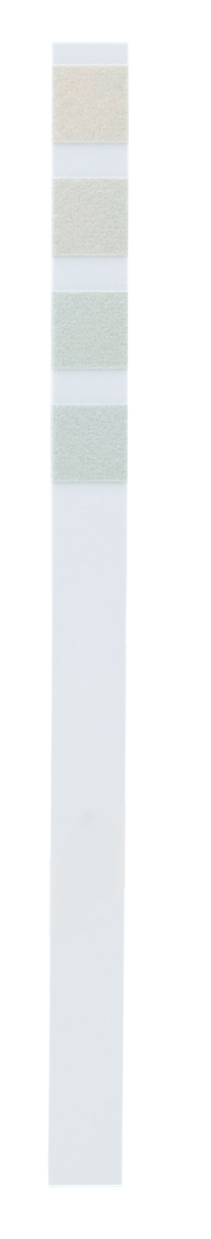 WMF Entkalker image number 2