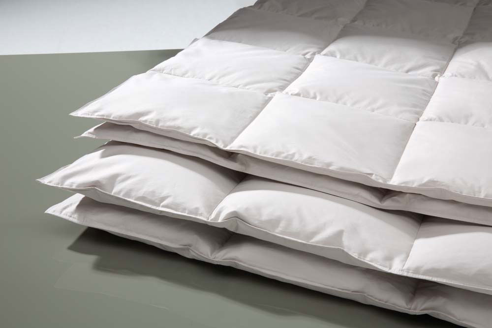 CENTA-STAR Dauneneinziehdecke 230g image number 2