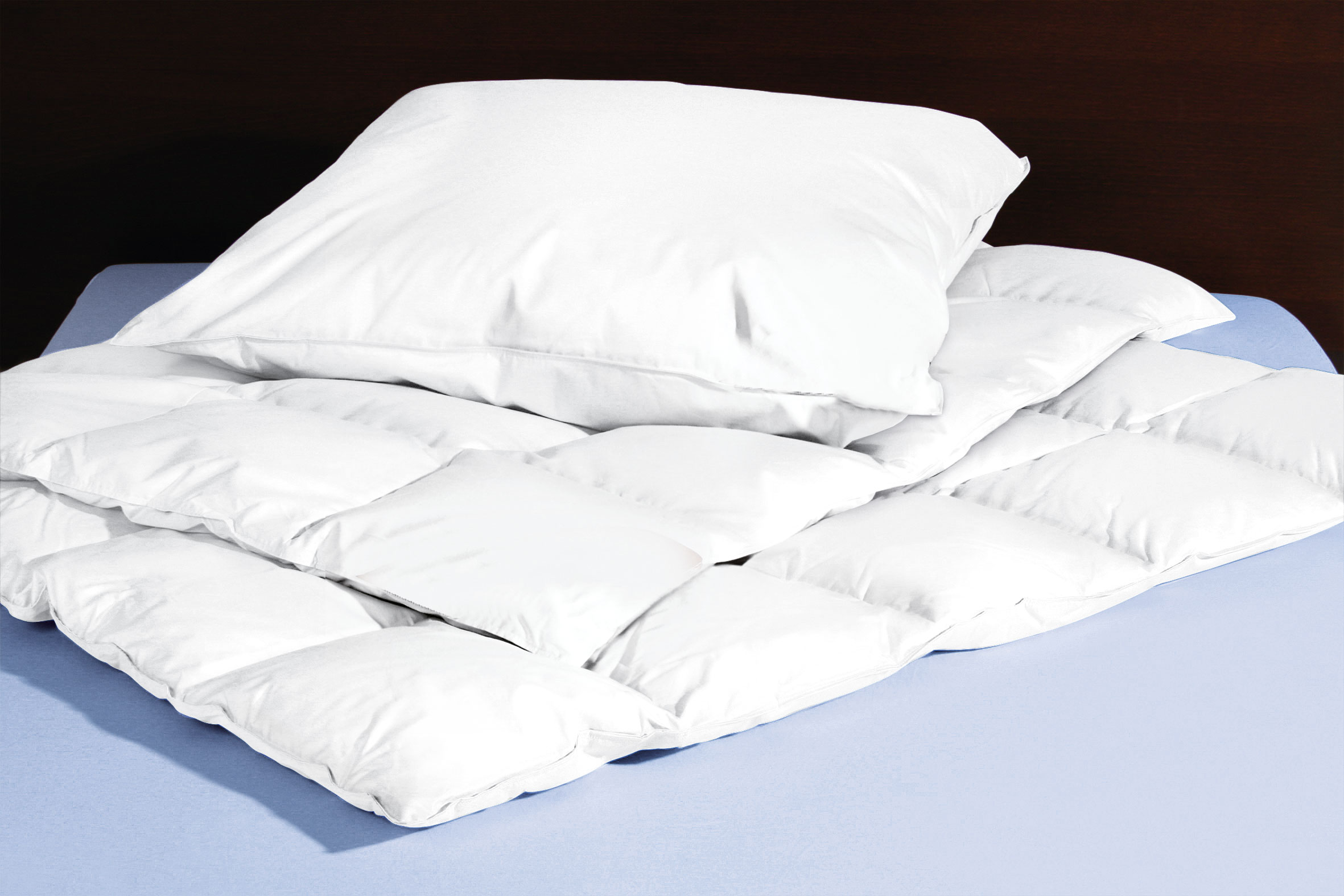 CENTA-STAR Kissen Medium 900g image number 2