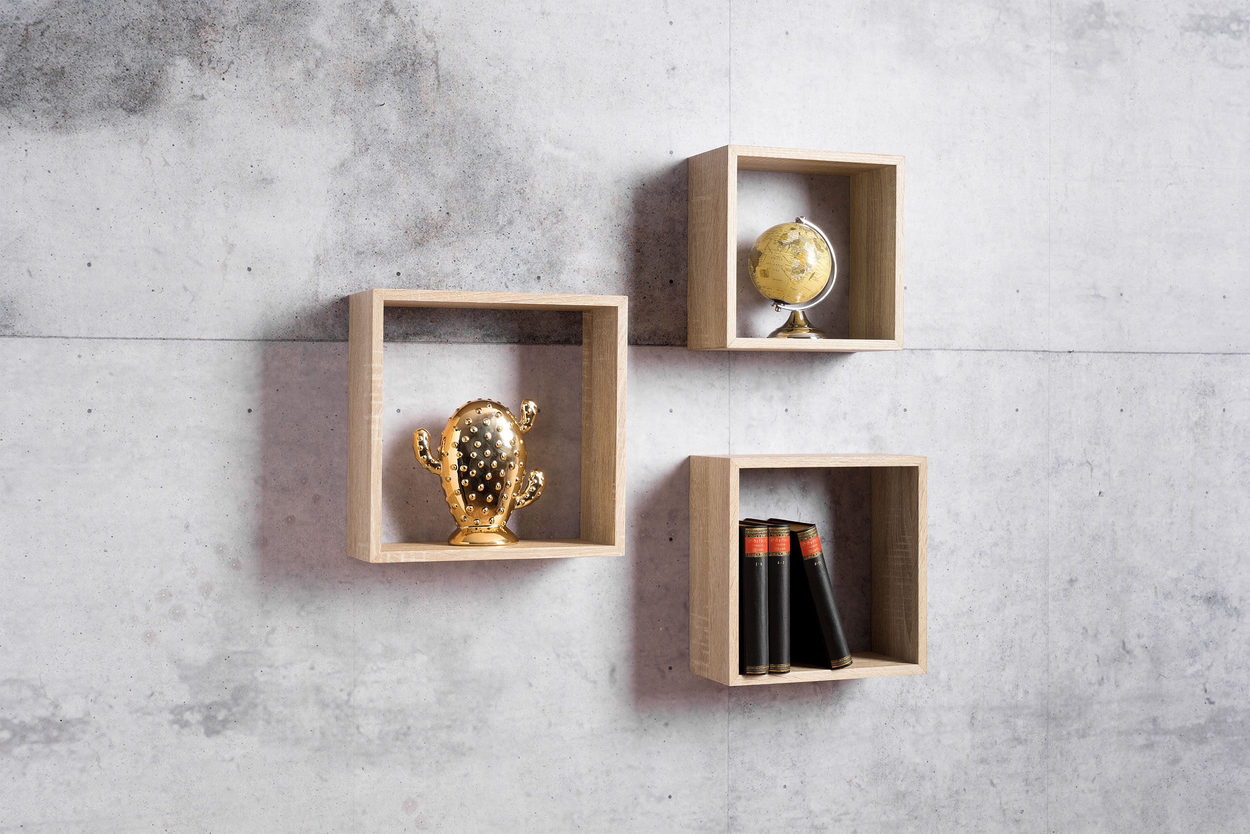 Regal image number 2