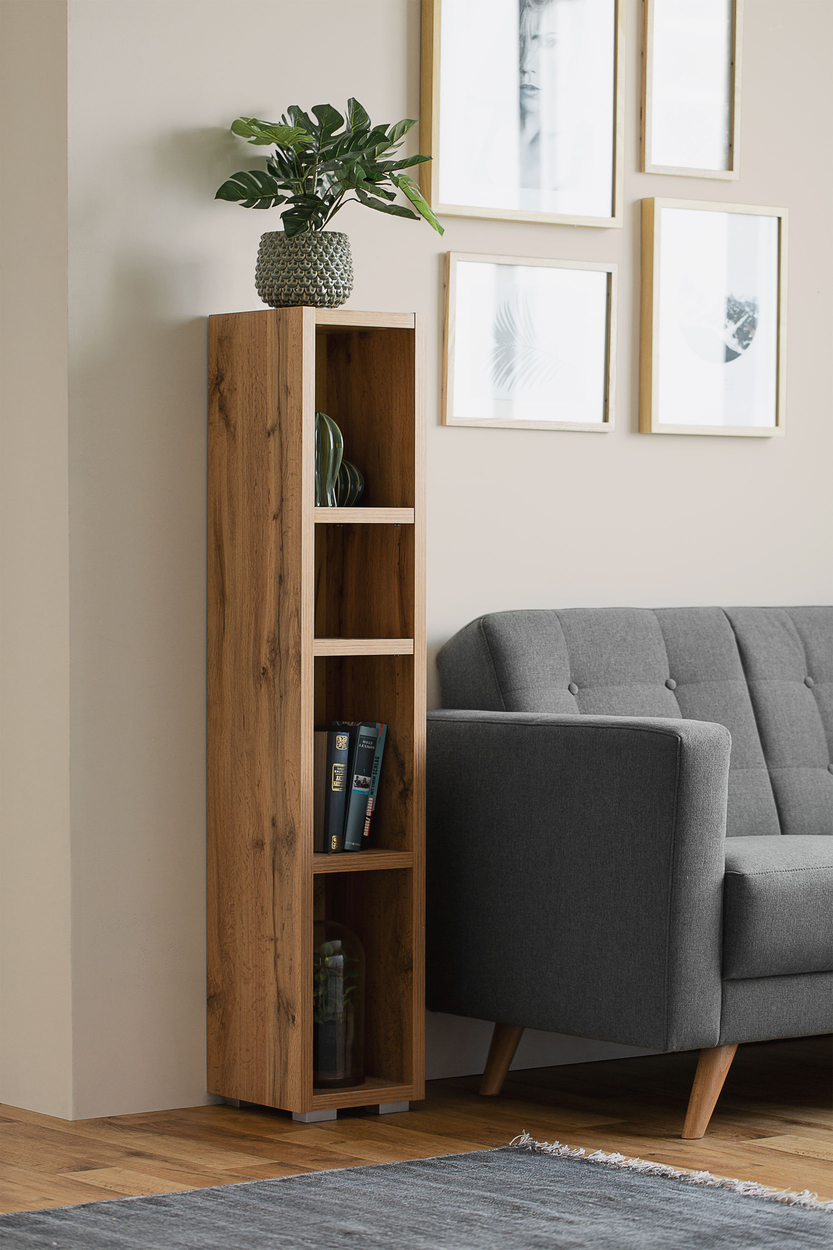 Regal image number 3