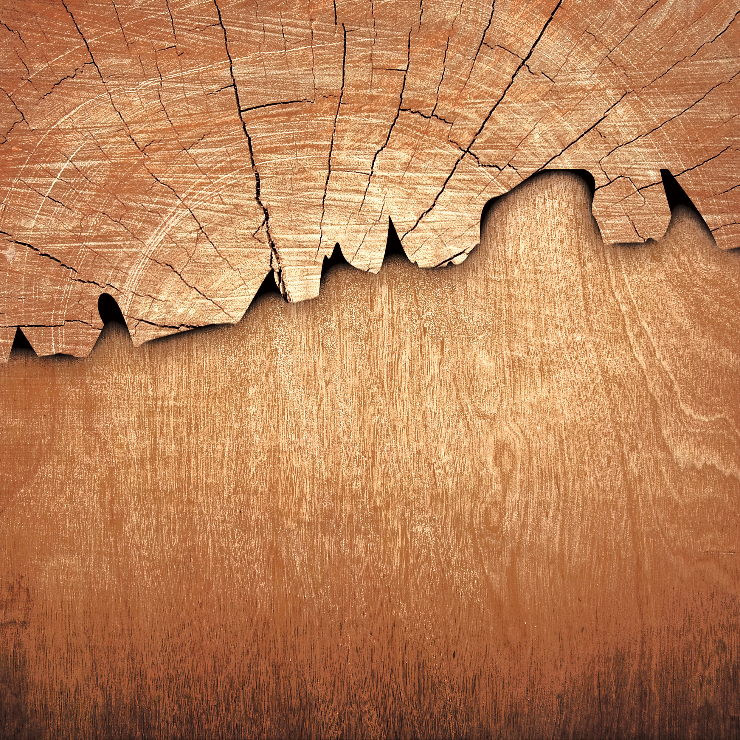 Schreibtisch elektronisch image number 5