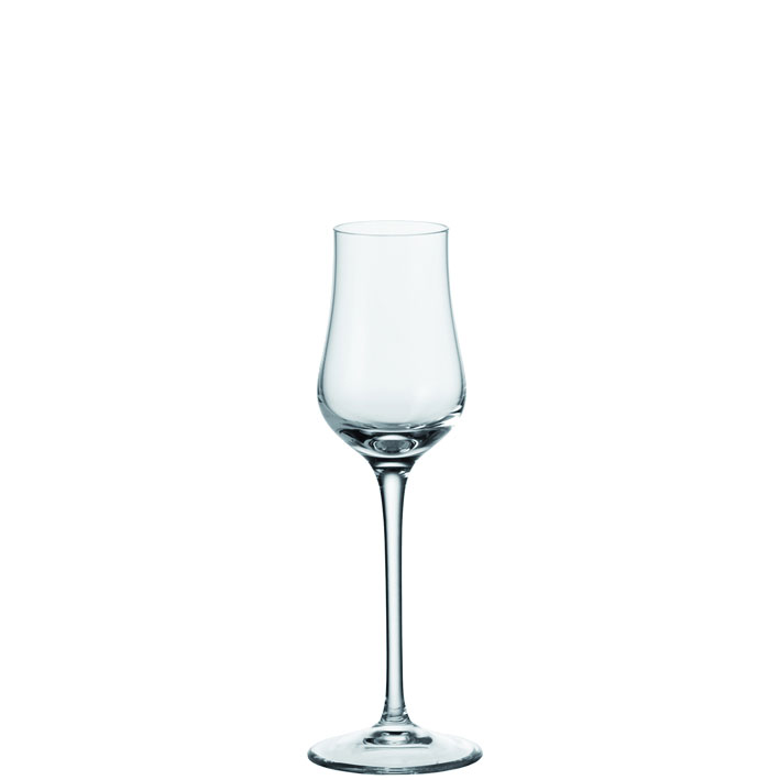 Leonardo Grappaglas image number 1