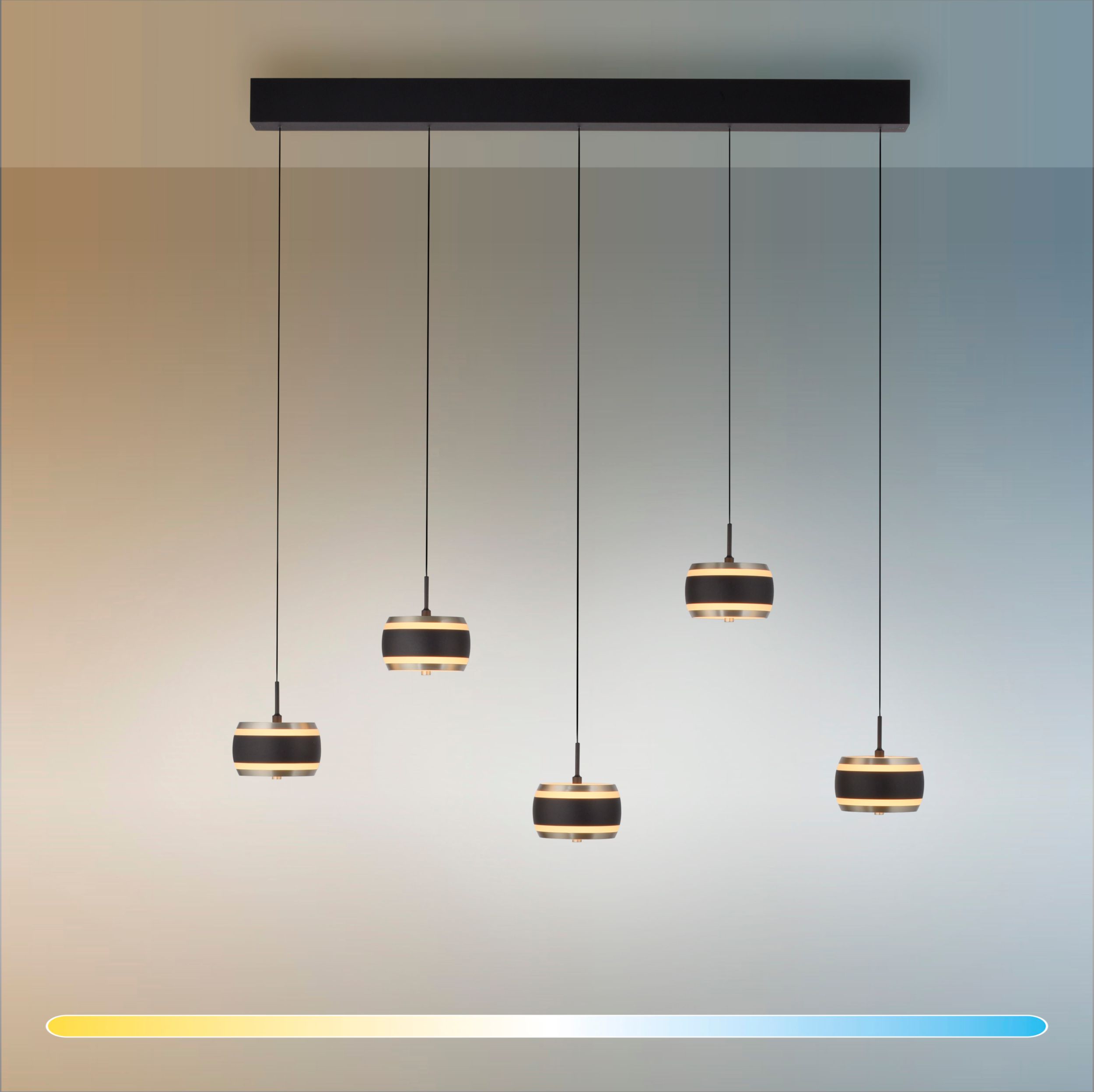 Paul Neuhaus LED-Pendelleuchte 5flg image number 4