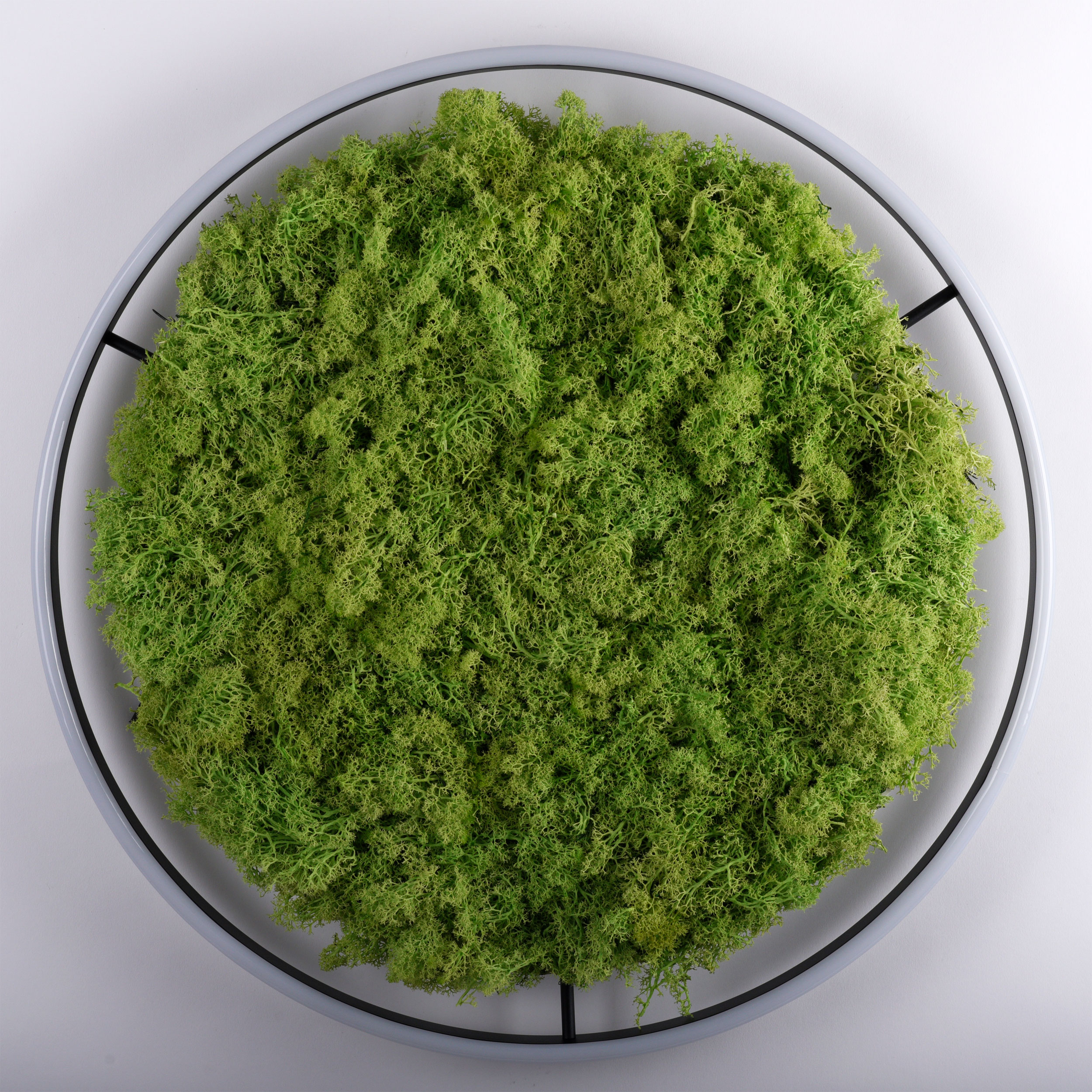 JUST LIGHT LED-Deckenleuchte 1flg image number 6