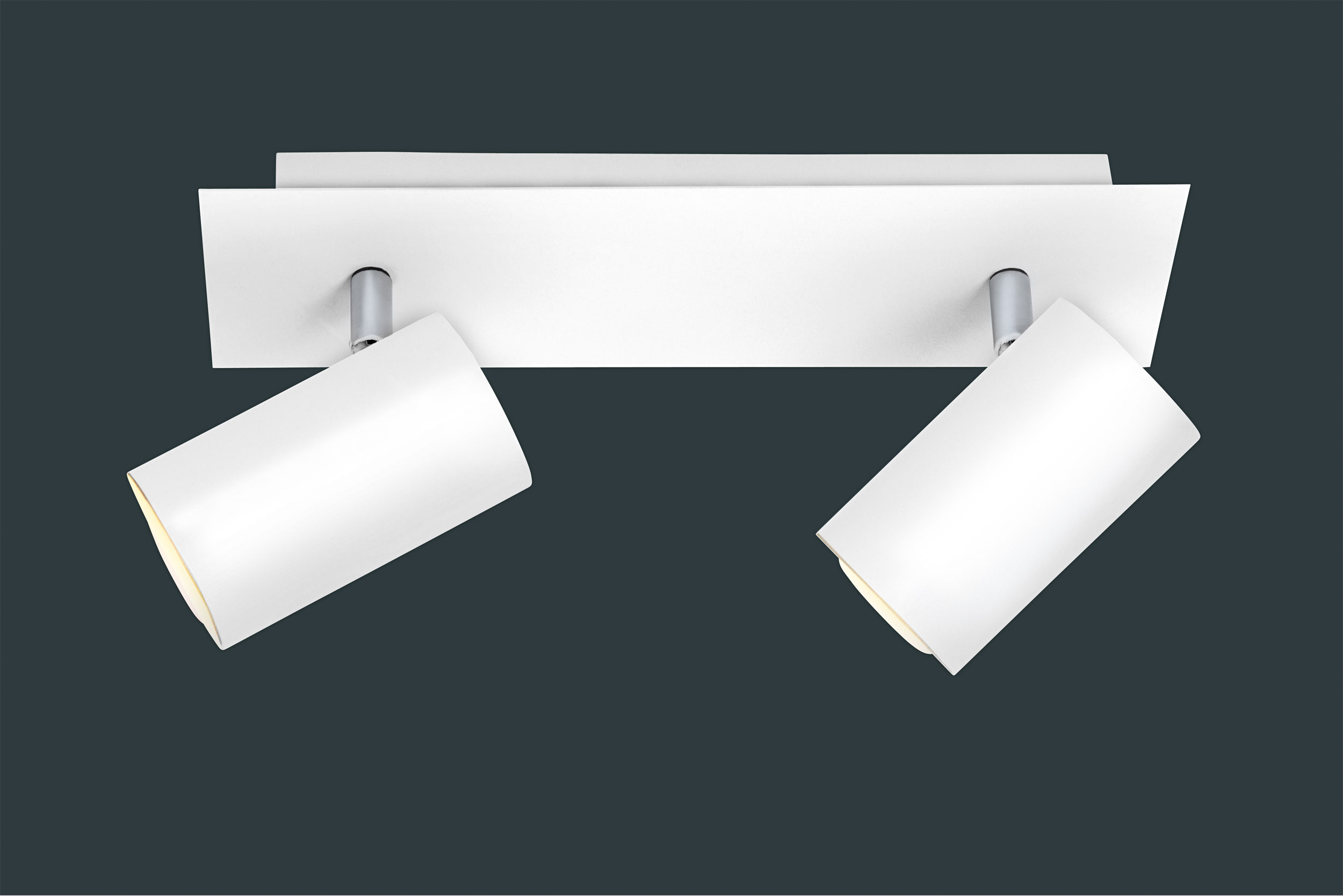 Trio Leuchten Strahler 2flg image number 2